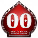 00_seeds_bank_swiatkonopi.png