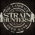 strain_hunter_swiatkonopi_logo.jpg