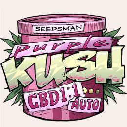 purple_kush_swiatkonopi.png