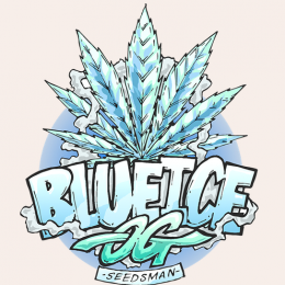 swiatkonopi_blue_ice_og.png